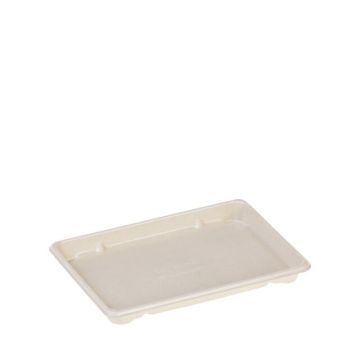 Suikerriet/PLA coated food tray 18,5x12,8x1,8cm