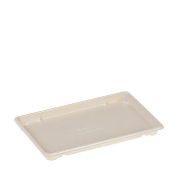 Suikerriet/PLA coated food tray 21,6x13,6x1,8cm