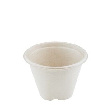 Sugar cane soup cup 500ml/12.5cmØ x 9cm high